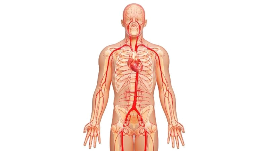 Poor blood circulation